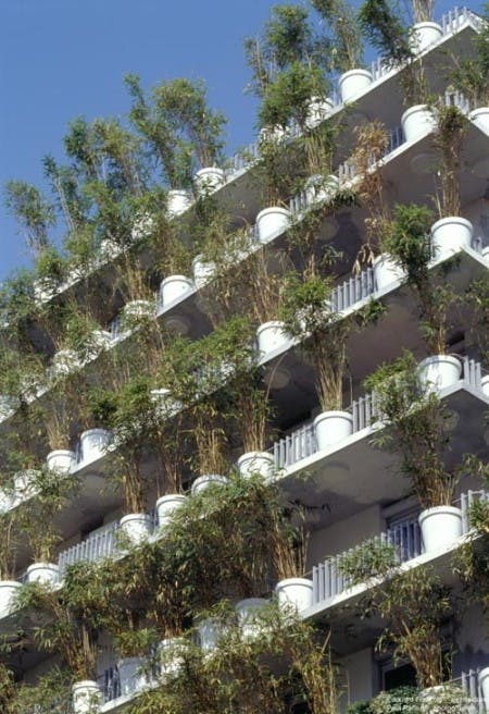 66fb0c8e1bbf3cd754541b05 Flowertower