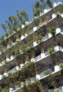 66fb0c8e1bbf3cd754541b05 Flowertower 66fb0c8e1bbf3cd754541b05 Flowertower