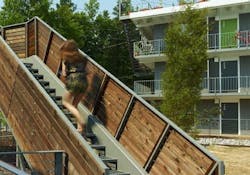 ECO Modern Flats is a wellness-oriented apartment complex in Fayetteville, Ark., created from reconstruction of a property built ECO Modern Flats is a wellness-oriented apartment complex in Fayetteville, Ark., created from reconstruction of a property built