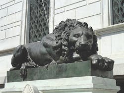 66fb0ee62ac3a5ca3c198244 Lion Corcoran Gallery Of Art Dsc010522020public2 66fb0ee62ac3a5ca3c198244 Lion Corcoran Gallery Of Art Dsc010522020public2