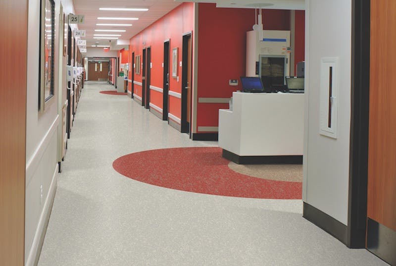 66fb0eee46a0238ec513bfb9 Noranoraplanlona20copy 0