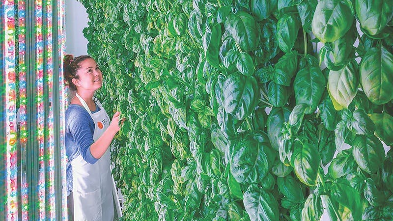 66fb0ef05230182433075638 Opener20220plenty20copy