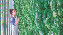 66fb0ef05230182433075638 Opener20220plenty20copy 66fb0ef05230182433075638 Opener20220plenty20copy