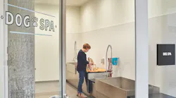 The 240-sf dog spa at Seattle’s AMLI Arc apartment tower, photo by Benjamin Benschneider