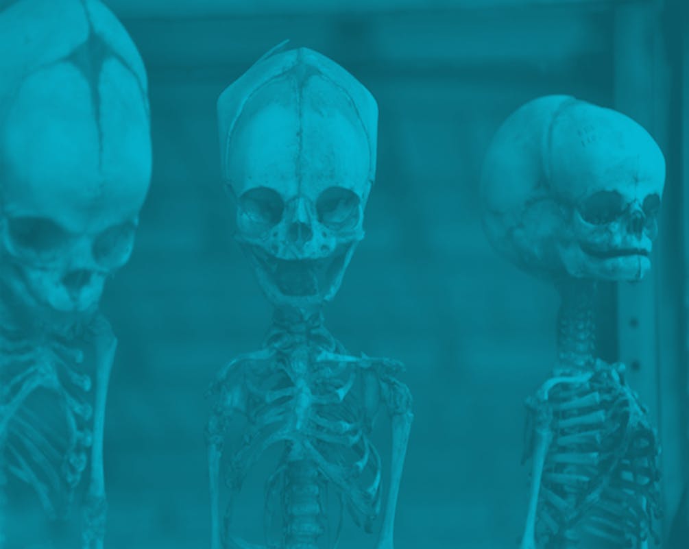 66fb0f1e2ac3a5fb0019829d 420opener