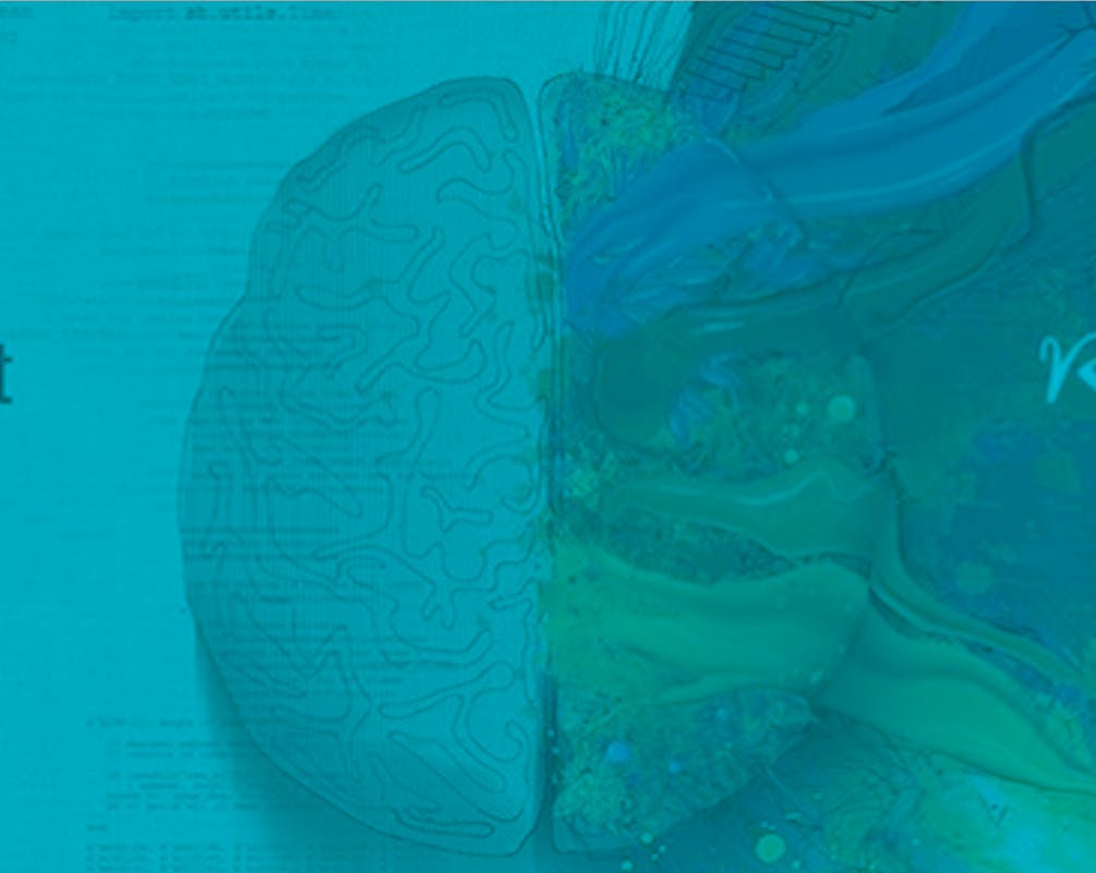 66fb0f206913967c7b4b9584 21 0