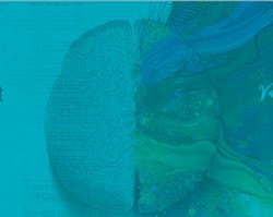 66fb0f206913967c7b4b9584 21 0 66fb0f206913967c7b4b9584 21 0