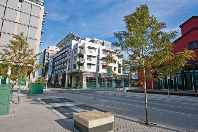 66fb10f4f503dd4a0d765020 Npp Millennium