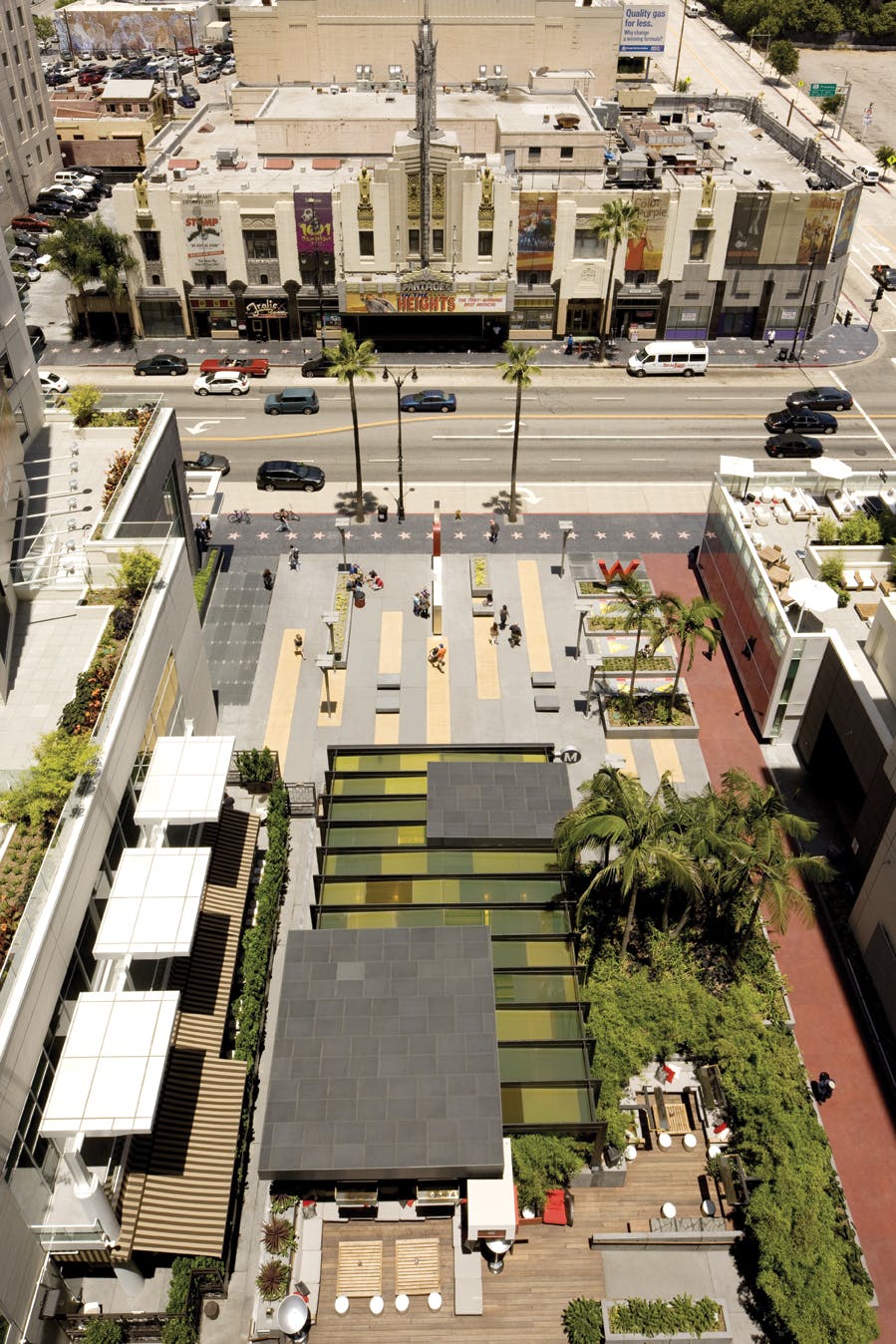 66fb10fb46a023166f13c1fc Npp Hollywood