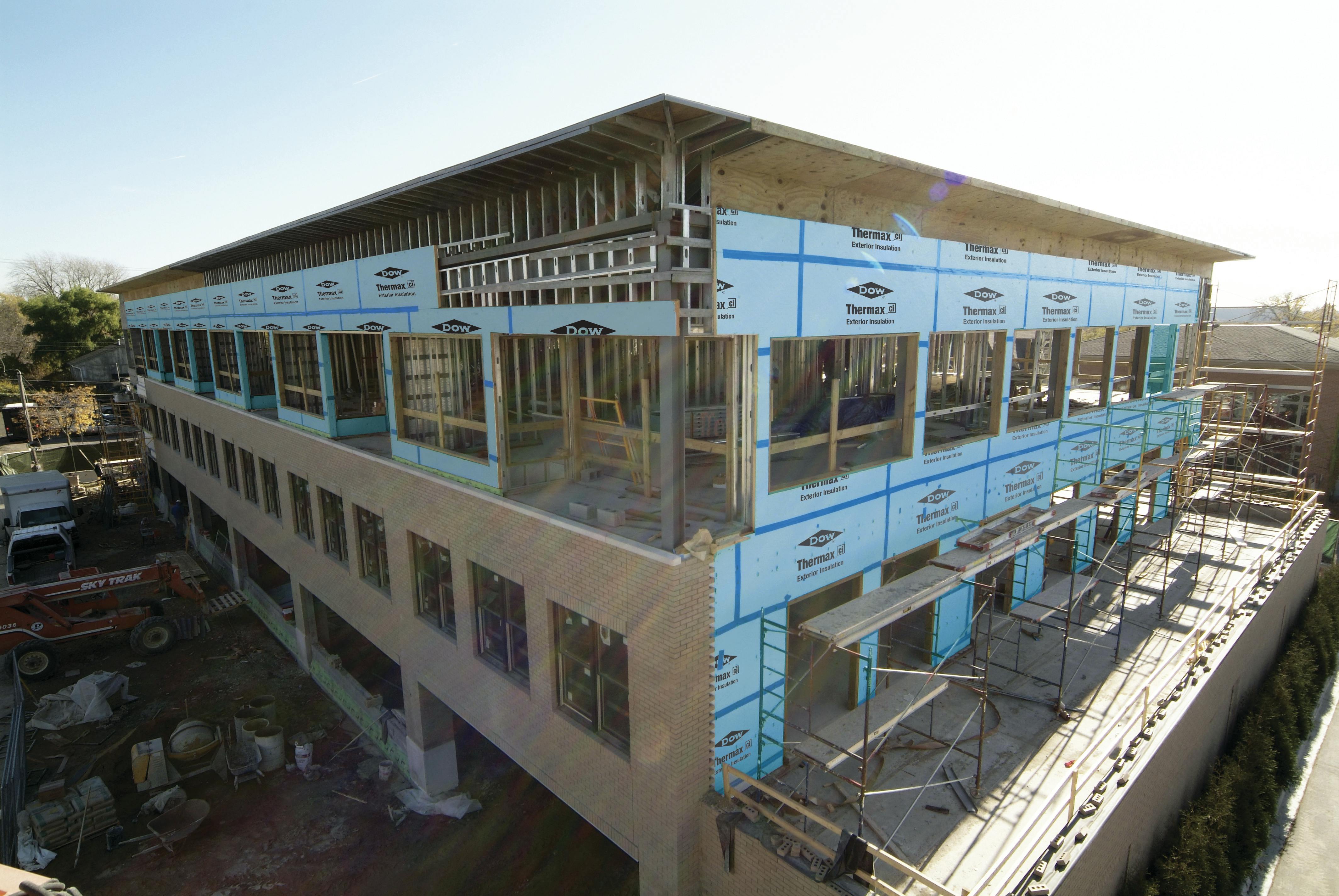 66fb10fd36955592d4420cfb Paw Dow