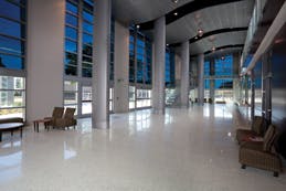 66fb10fe46a023111813c200 Paw Sage