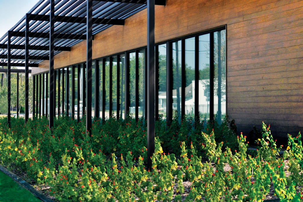 66fb10fe5230181976075882 Paw Accsys