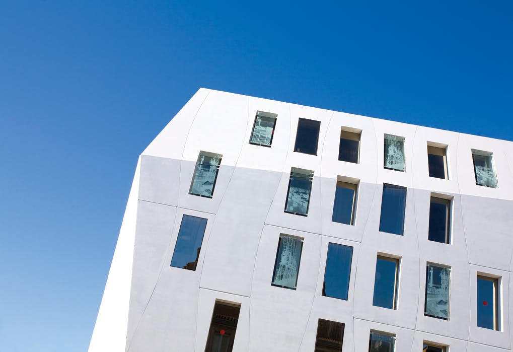 66fb110946a0237eaa13c206 Paw Dupont