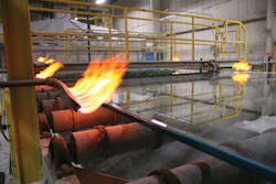 66fb110c1a3f59a2b9d4f572 Paw Ppg 66fb110c1a3f59a2b9d4f572 Paw Ppg