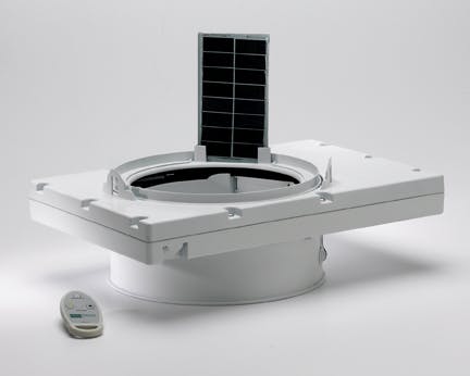 66fb110d46a023195013c215 Paw Odljpg