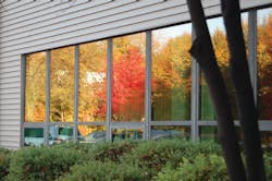 66fb110d46a0237add13c214 Paw Pleotint 66fb110d46a0237add13c214 Paw Pleotint