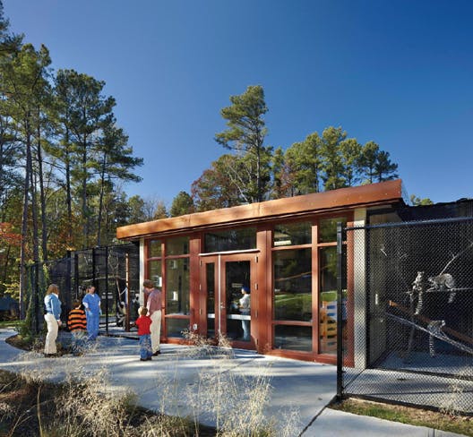 66fb11132ac3a5bb441984e2 Npp Lemur