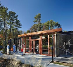 66fb11132ac3a5bb441984e2 Npp Lemur 66fb11132ac3a5bb441984e2 Npp Lemur