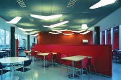 66fb1174f503dd3a7f7650c6 Paw Artimide