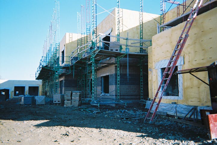 66fb11781a3f59335dd4f5e5 Paw Bayer