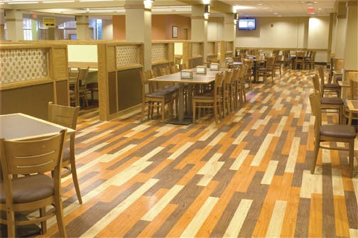 66fb1178691396da074b9821 Paw Armstrong 0