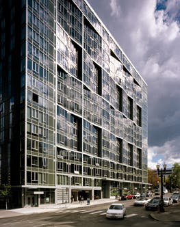 66fb1179f503ddba207650da Paw Guardian