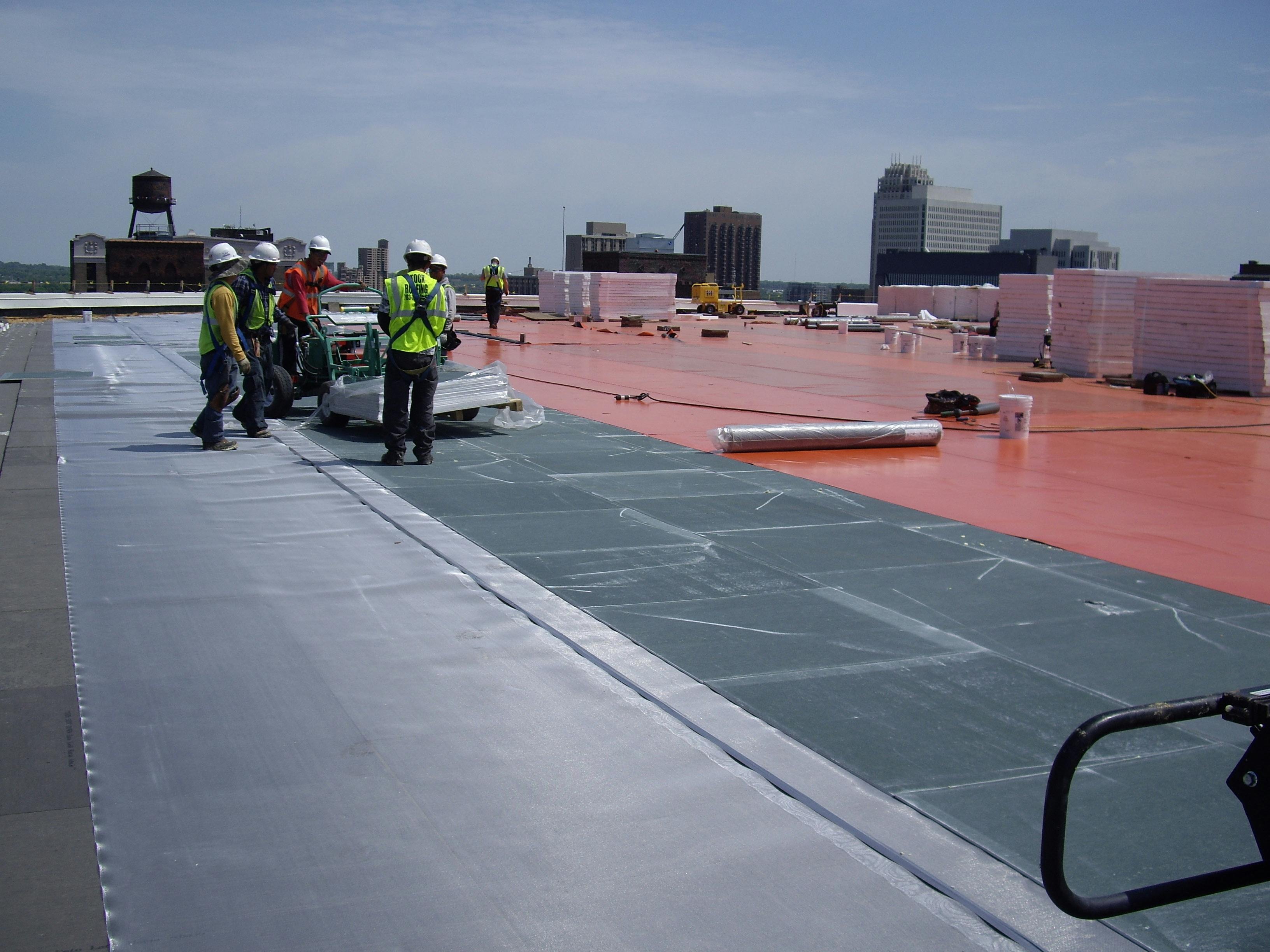 66fb11851a3f595ef7d4f603 Paw Target