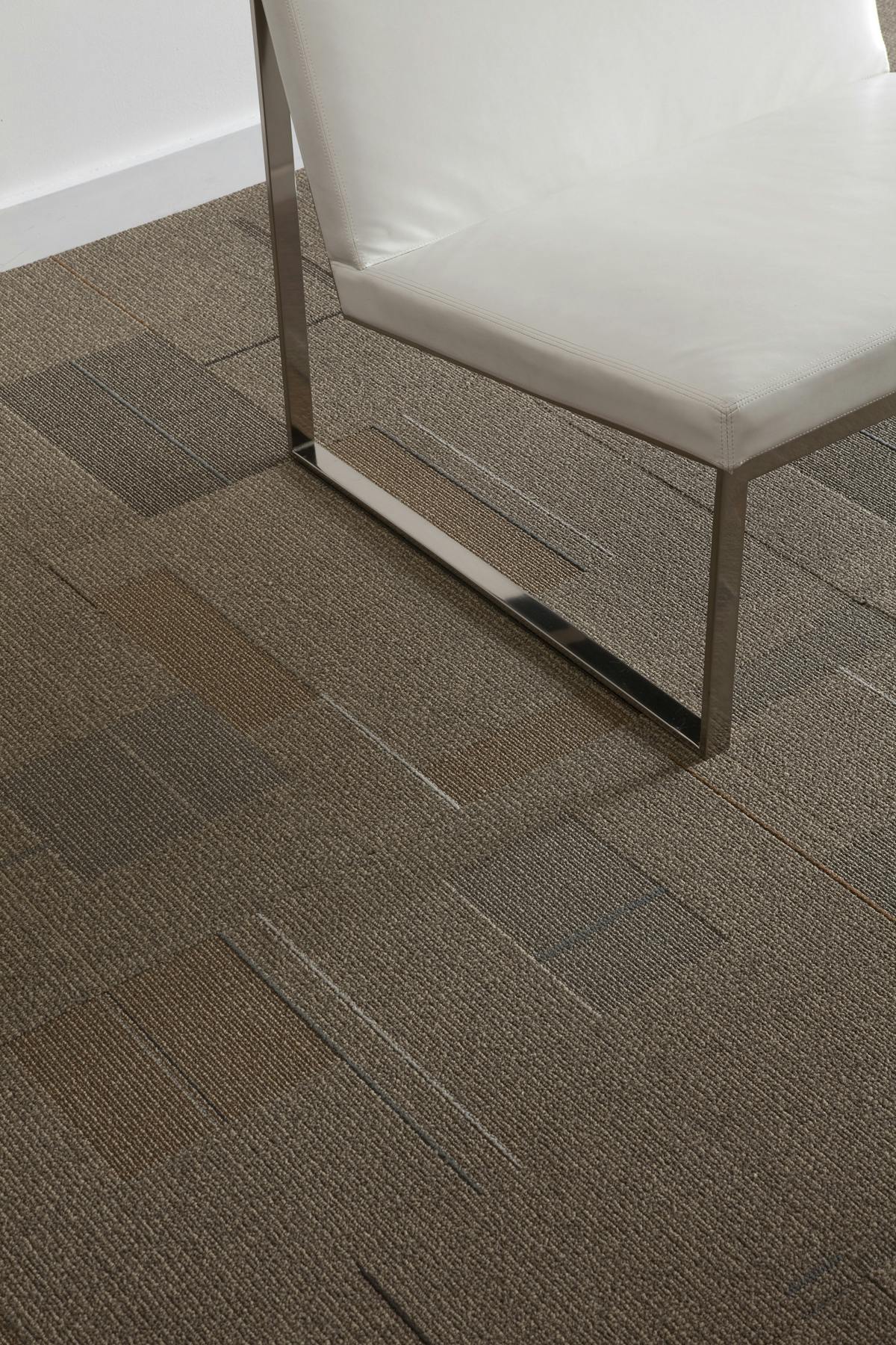 66fb11852ac3a54479198575 Paw Tandus