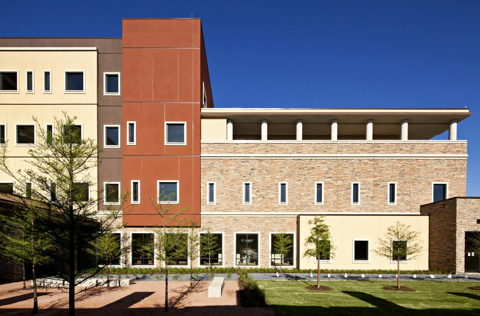 66fb1185523018411e075917 Flower20mound