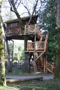 66fb1192816f26d22dc399c8 Tree20house202 66fb1192816f26d22dc399c8 Tree20house202