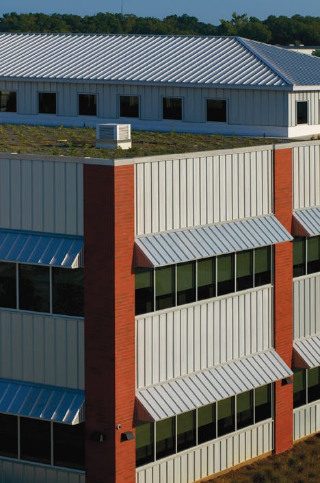 66fb11a736955545be420ddf Petersen202