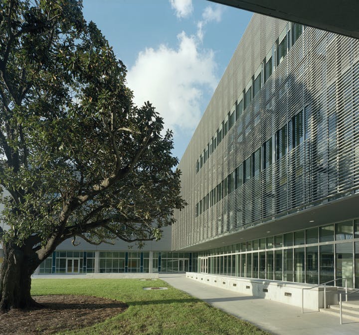 66fb11a7816f265a9ec399e4 Landry