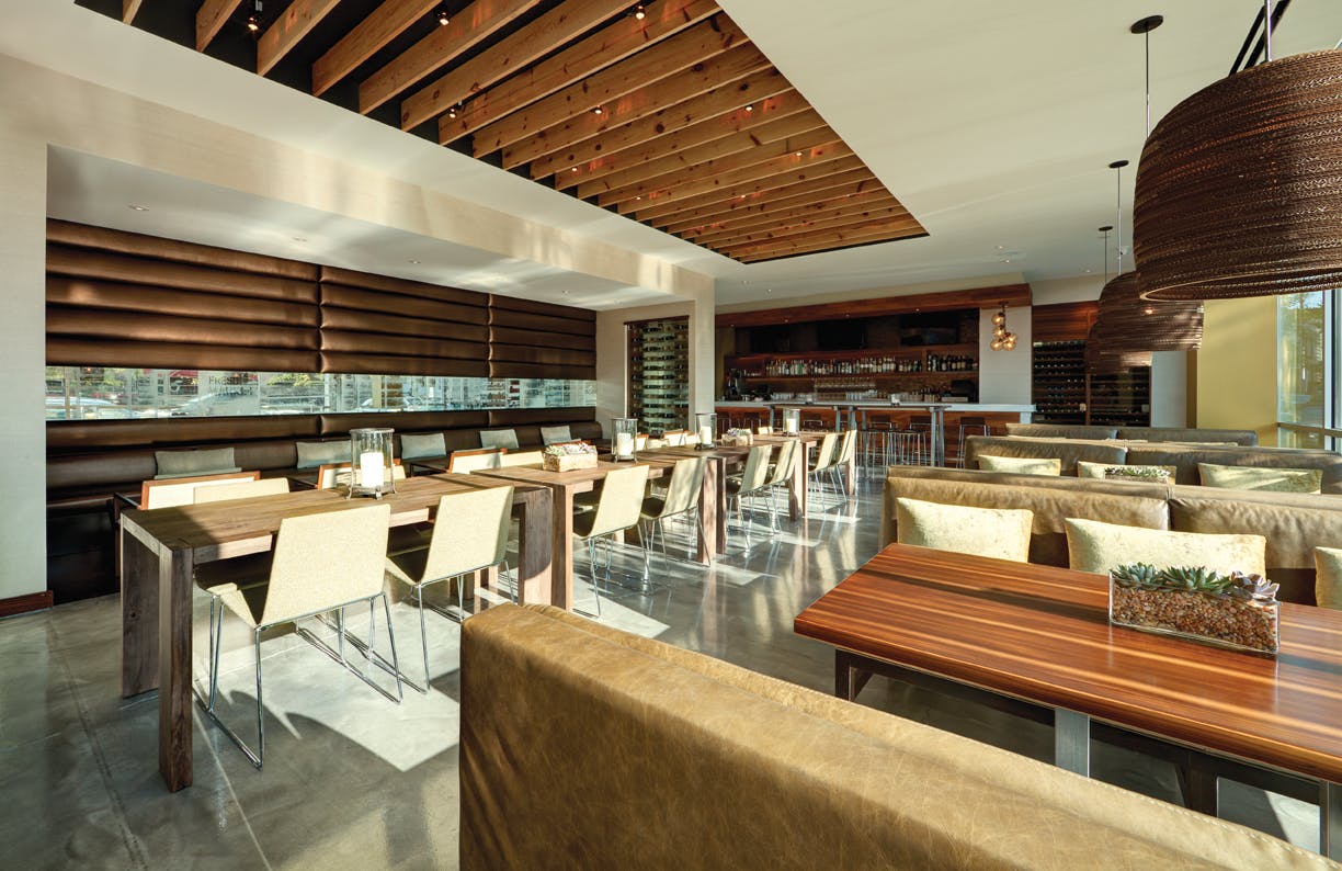 66fb11ae816f261d7ac399f2 Prasino