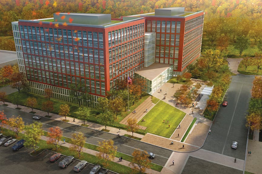 66fb11b96913964f674b9891 Niaid