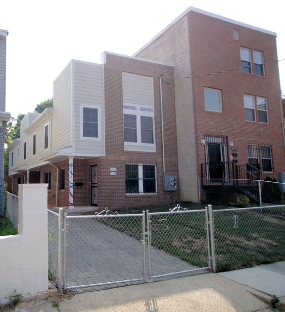 66fb11bc1bbf3cb65f5420b6 Ivy