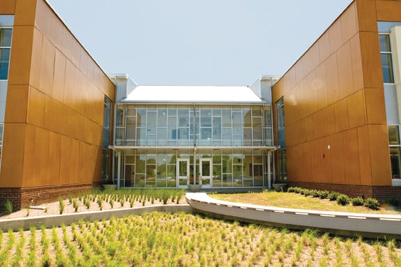 College Park Elementary School, Virginia Beach, Va., has an integrated wetland garden situated in a courtyard area; it serves as