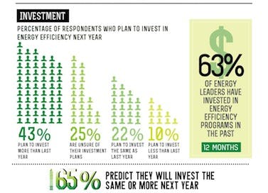 66fb1203f503dd7ccb76520c Schneidersmall