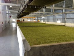 New metal buildings have helped boost productivity at Perrault Farms in Yakima Valley, Wash., the largest hop-producing region i New metal buildings have helped boost productivity at Perrault Farms in Yakima Valley, Wash., the largest hop-producing region i
