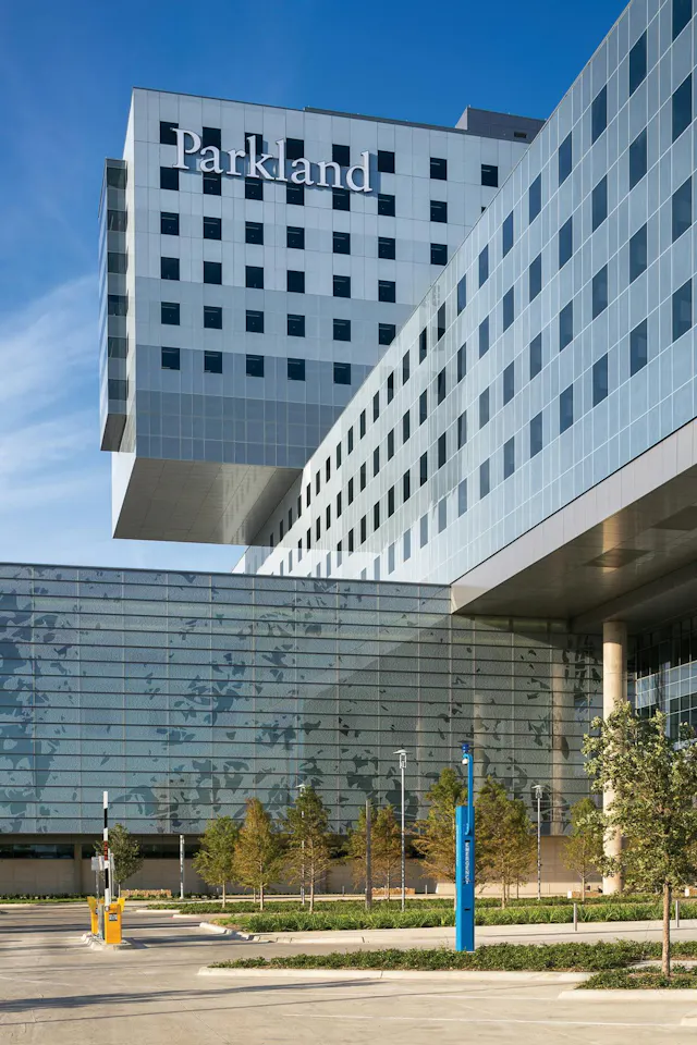 Parkland Hospital Organizational Chart Organizational Structure