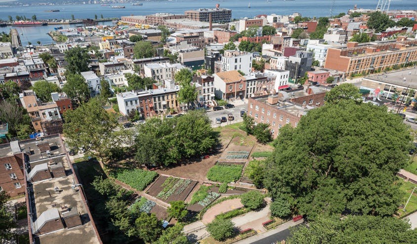 66fb12485230187bdb075aa1 Urban20farm208 0