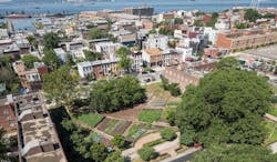 66fb12485230187bdb075aa1 Urban20farm208 0 66fb12485230187bdb075aa1 Urban20farm208 0