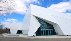 Building a Habitat with Paint – the Polk Penguin Conservation Center Building a Habitat with Paint – the Polk Penguin Conservation Center