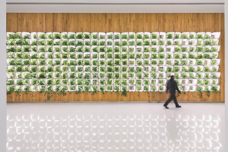 66fb12902ac3a5a5f419878d Cover 0