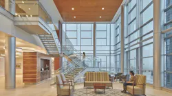 Healthcare Giants Lobby