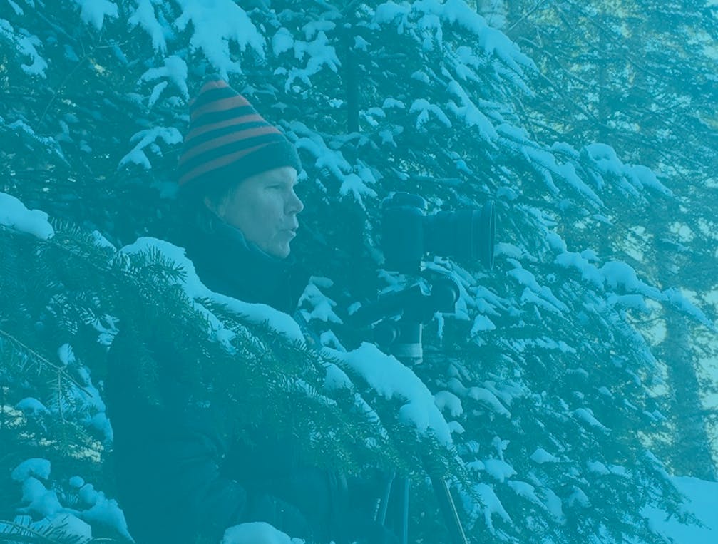 66fb12c9783cc95b58d7fbd9 Openerfinal