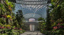 How engineering giant Buro Happold democratizes tech innovation, Jewel Changi Airport project