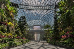 How engineering giant Buro Happold democratizes tech innovation, Jewel Changi Airport project How engineering giant Buro Happold democratizes tech innovation, Jewel Changi Airport project