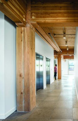 66fb137946a023487b13c693 Building20materials20matter Image 66fb137946a023487b13c693 Building20materials20matter Image