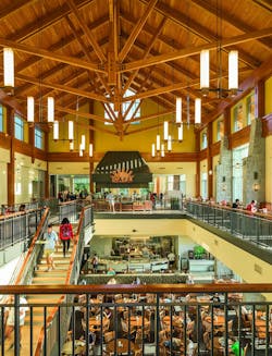 66fb137e691396b24d4b9be5 Wood20and20indoor20environment Image 66fb137e691396b24d4b9be5 Wood20and20indoor20environment Image