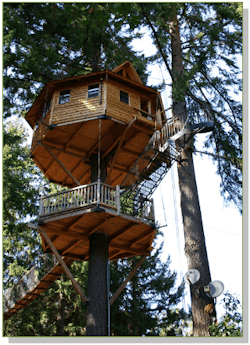 66fb13912ac3a5a8a4198970 Image 66fb13912ac3a5a8a4198970 Image